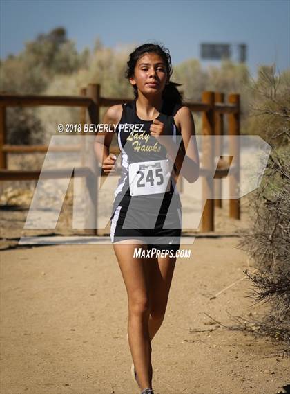 Thumbnail 2 in Golden League Meet #1 photogallery.