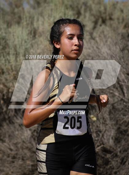 Thumbnail 3 in Golden League Meet #1 photogallery.
