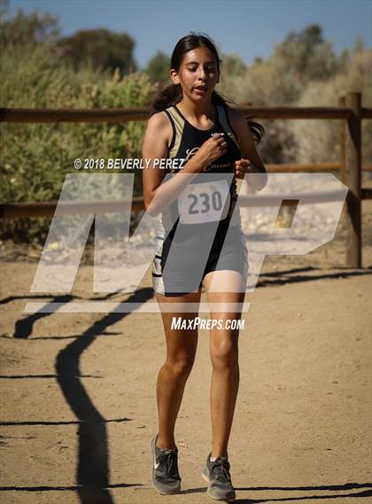 Thumbnail 1 in Golden League Meet #1 photogallery.