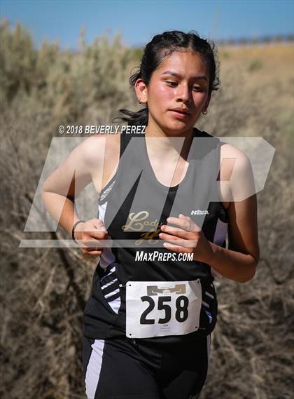 Thumbnail 2 in Golden League Meet #1 photogallery.