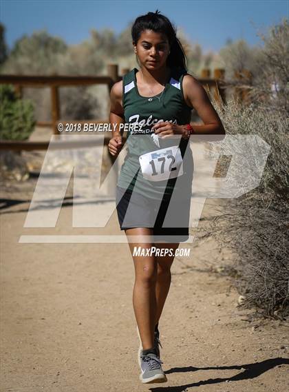 Thumbnail 1 in Golden League Meet #1 photogallery.