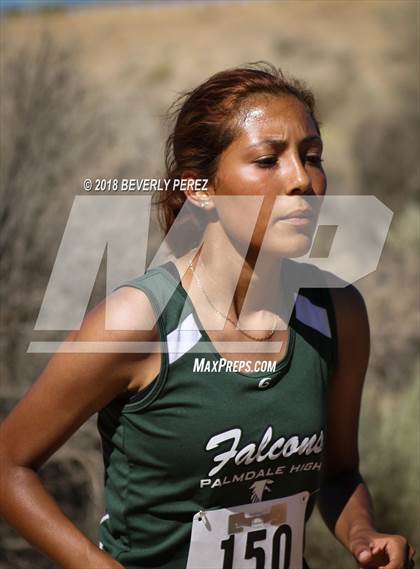 Thumbnail 3 in Golden League Meet #1 photogallery.