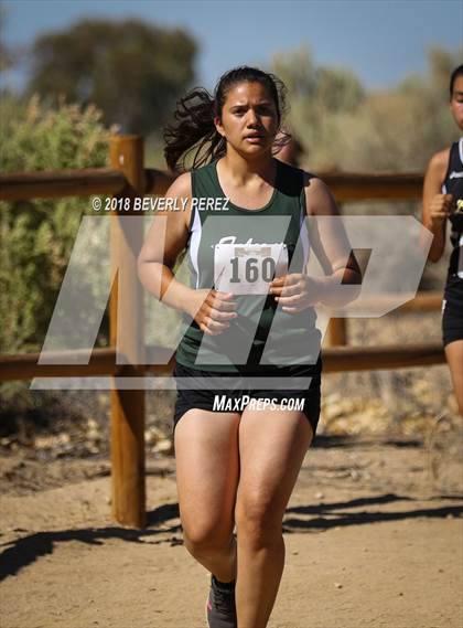 Thumbnail 2 in Golden League Meet #1 photogallery.