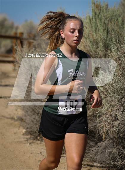 Thumbnail 3 in Golden League Meet #1 photogallery.