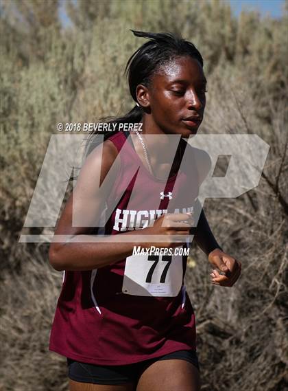 Thumbnail 1 in Golden League Meet #1 photogallery.