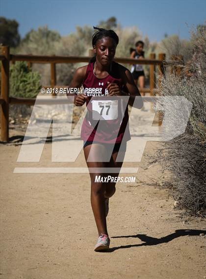 Thumbnail 1 in Golden League Meet #1 photogallery.