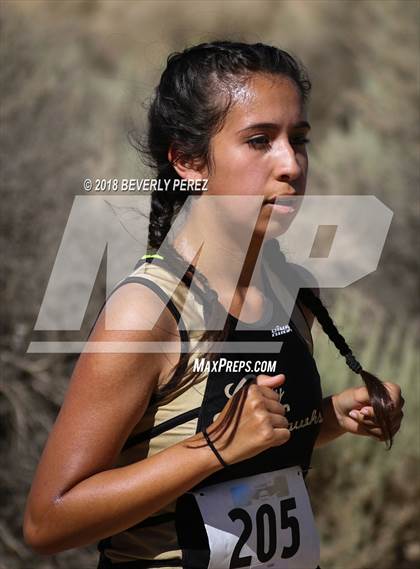 Thumbnail 1 in Golden League Meet #1 photogallery.