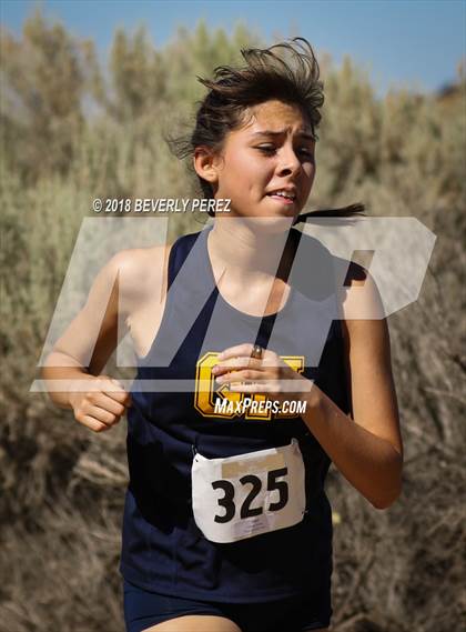 Thumbnail 1 in Golden League Meet #1 photogallery.
