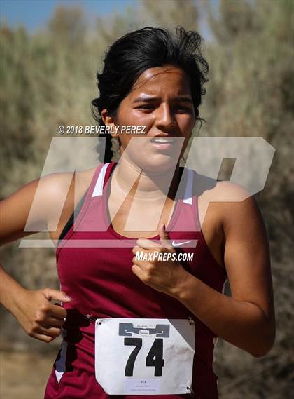 Thumbnail 2 in Golden League Meet #1 photogallery.