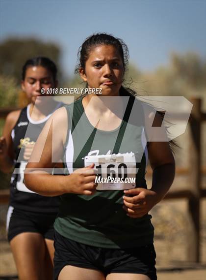 Thumbnail 3 in Golden League Meet #1 photogallery.