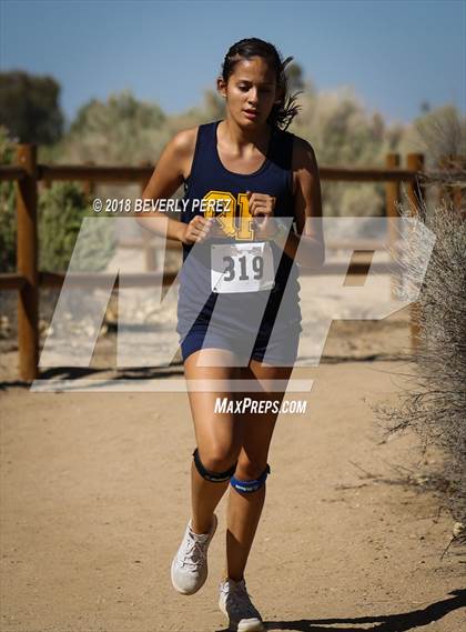 Thumbnail 3 in Golden League Meet #1 photogallery.