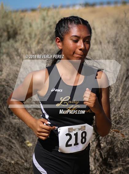 Thumbnail 1 in Golden League Meet #1 photogallery.