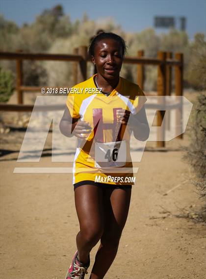 Thumbnail 1 in Golden League Meet #1 photogallery.