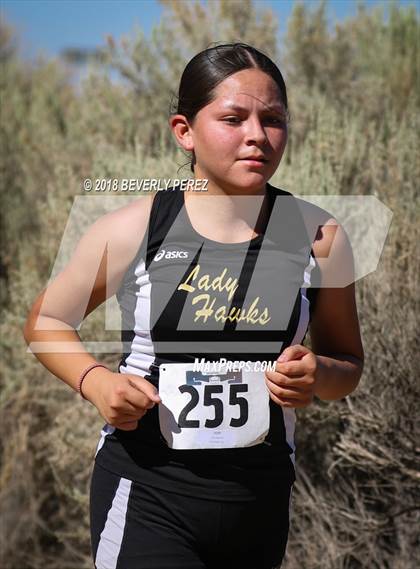 Thumbnail 3 in Golden League Meet #1 photogallery.