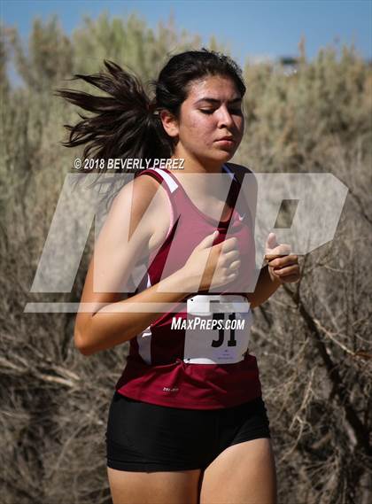 Thumbnail 2 in Golden League Meet #1 photogallery.