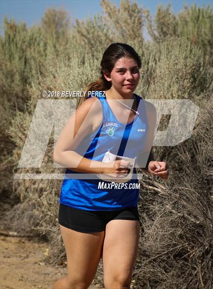 Thumbnail 1 in Golden League Meet #1 photogallery.