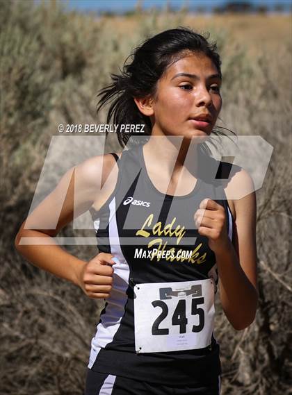 Thumbnail 3 in Golden League Meet #1 photogallery.