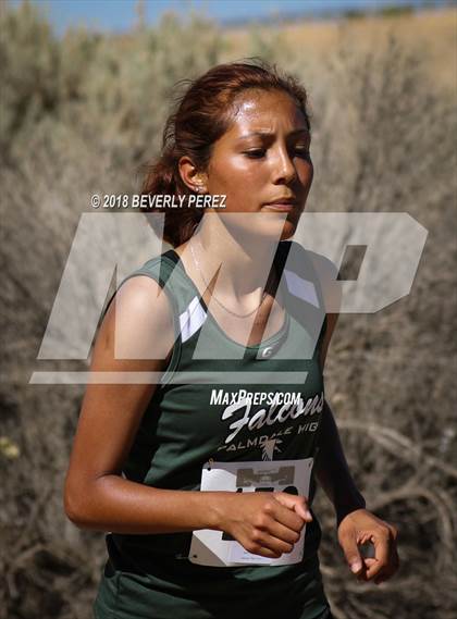 Thumbnail 1 in Golden League Meet #1 photogallery.