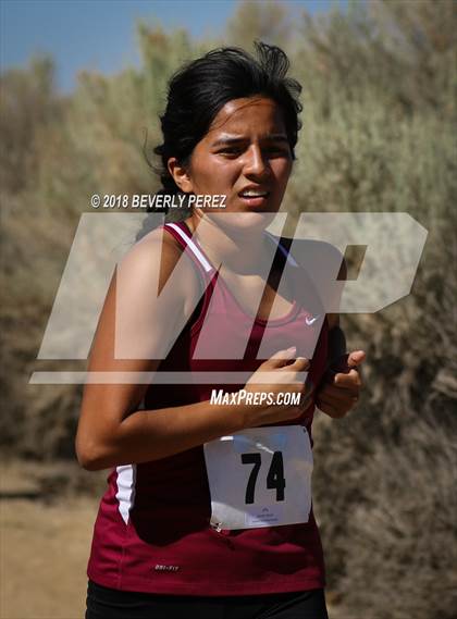 Thumbnail 3 in Golden League Meet #1 photogallery.
