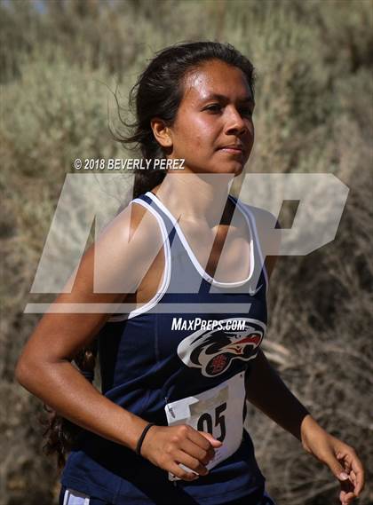 Thumbnail 3 in Golden League Meet #1 photogallery.