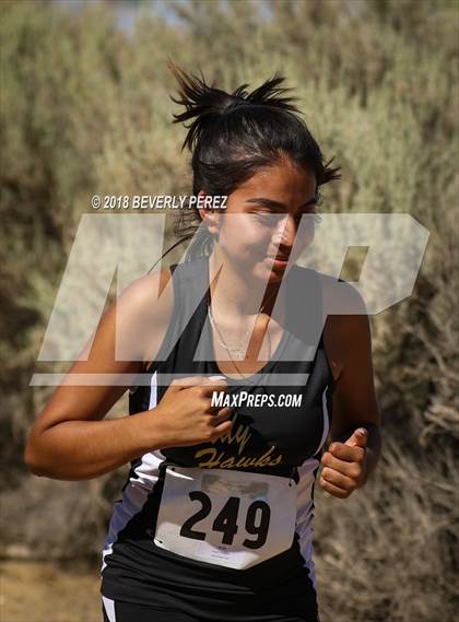 Thumbnail 3 in Golden League Meet #1 photogallery.