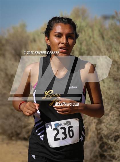 Thumbnail 1 in Golden League Meet #1 photogallery.