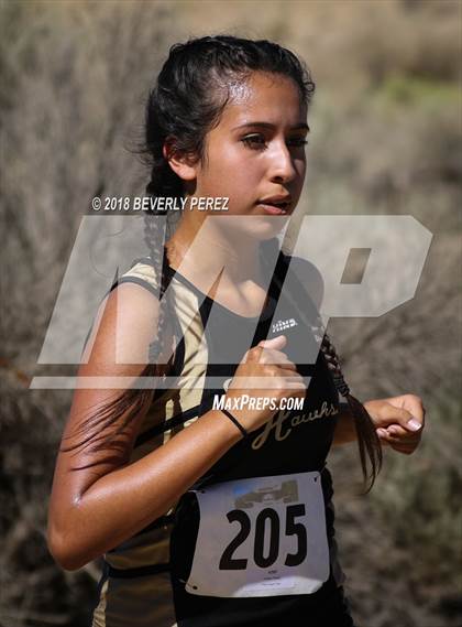 Thumbnail 2 in Golden League Meet #1 photogallery.