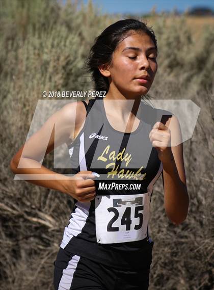 Thumbnail 1 in Golden League Meet #1 photogallery.