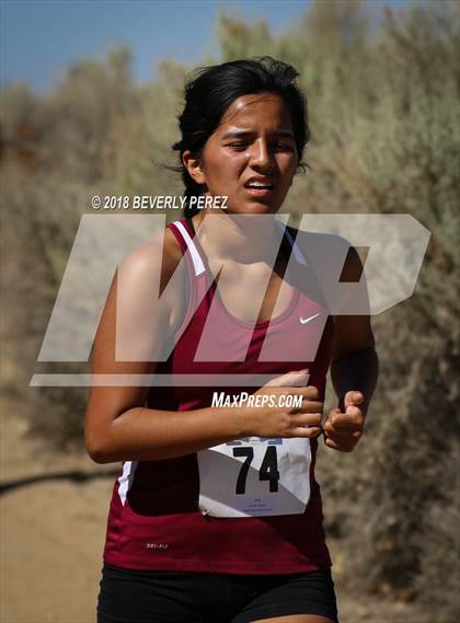 Thumbnail 1 in Golden League Meet #1 photogallery.
