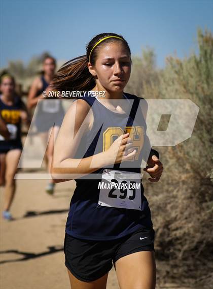 Thumbnail 1 in Golden League Meet #1 photogallery.