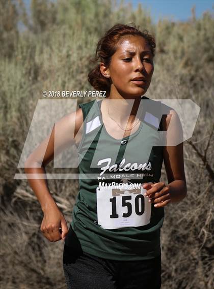 Thumbnail 2 in Golden League Meet #1 photogallery.