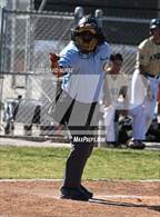 Photo from the gallery "Quartz Hill @ Knight"