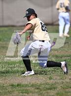 Photo from the gallery "Quartz Hill @ Knight"
