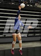 Photo from the gallery "Pleasant Grove vs. Weber (UHSAA 6A Quarterfinal Loss)"