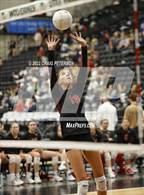 Photo from the gallery "Pleasant Grove vs. Weber (UHSAA 6A Quarterfinal Loss)"