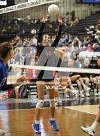 Photo from the gallery "Pleasant Grove vs. Weber (UHSAA 6A Quarterfinal Loss)"