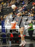 Photo from the gallery "Pleasant Grove vs. Weber (UHSAA 6A Quarterfinal Loss)"