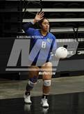Photo from the gallery "Pleasant Grove vs. Weber (UHSAA 6A Quarterfinal Loss)"