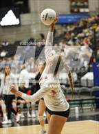 Photo from the gallery "Pleasant Grove vs. Weber (UHSAA 6A Quarterfinal Loss)"