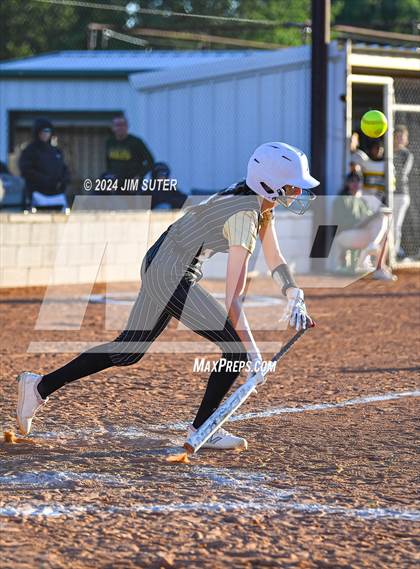 Thumbnail 2 in Lexington vs Rogers photogallery.