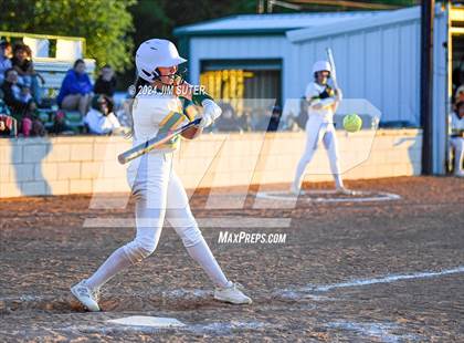 Thumbnail 3 in Lexington vs Rogers photogallery.