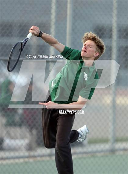 Thumbnail 1 in Borah @ Meridian photogallery.