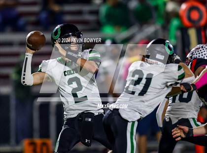 Thumbnail 1 in Clear Fork @ Marion Harding photogallery.