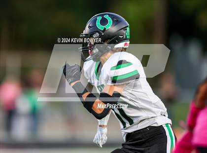 Thumbnail 2 in Clear Fork @ Marion Harding photogallery.
