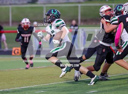 Thumbnail 3 in Clear Fork @ Marion Harding photogallery.