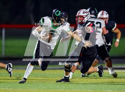Thumbnail 3 in Clear Fork @ Marion Harding photogallery.