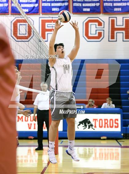 Thumbnail 2 in Dobson @ Mountain View photogallery.