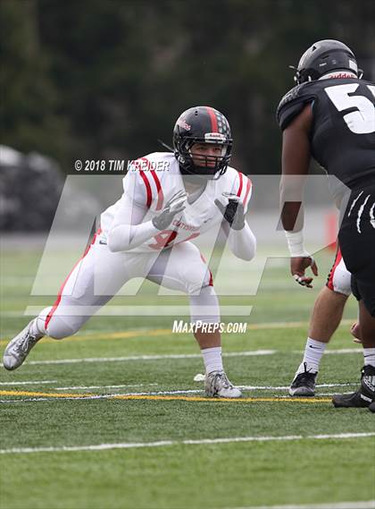Thumbnail 1 in Harrisburg vs. Coatesville (PIAA 6A Semifinal) photogallery.