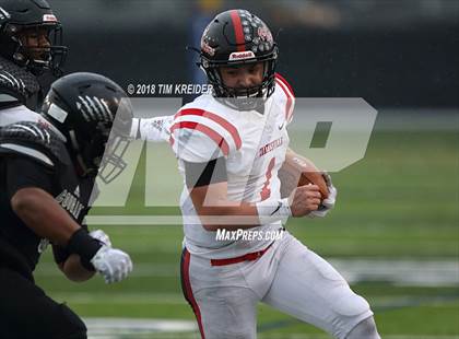 Thumbnail 2 in Harrisburg vs. Coatesville (PIAA 6A Semifinal) photogallery.