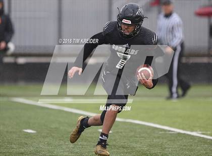 Thumbnail 3 in Harrisburg vs. Coatesville (PIAA 6A Semifinal) photogallery.